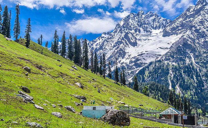 Srinagar,